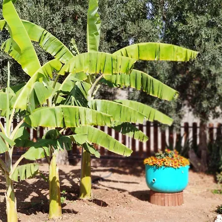 La Casita Del Naranjo בית נופש